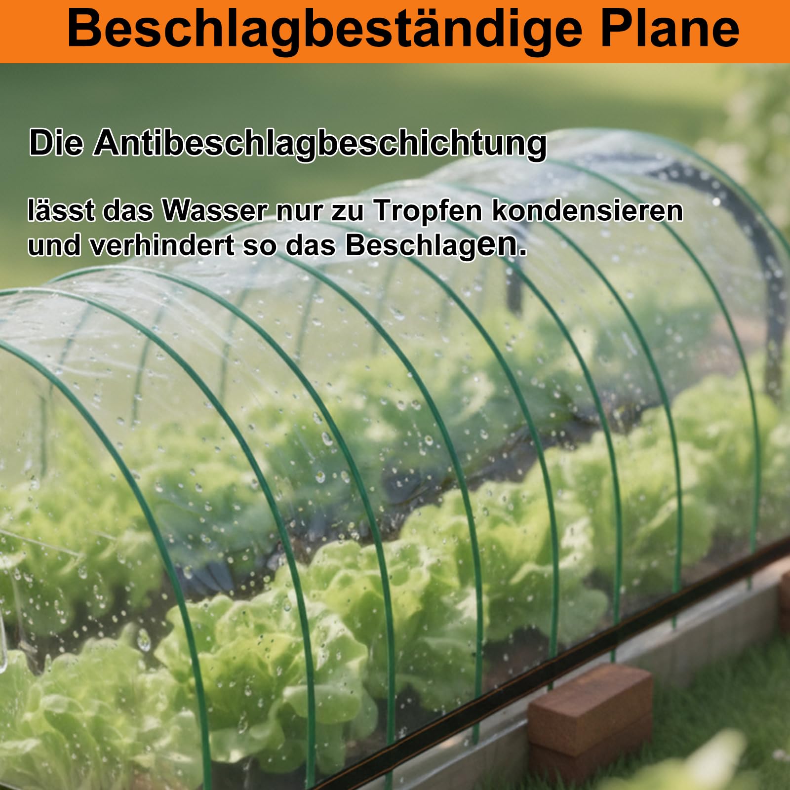 BeGrit 3M x 4M wasserdichte Transparente Plane mit Ösen Wetterfeste Plane Transparente Strapazierfähige Vordächer und Planen enthalten Spanngummi für Gartenmöbel Pflanzen Gewächshaus Pet Hutch Dach