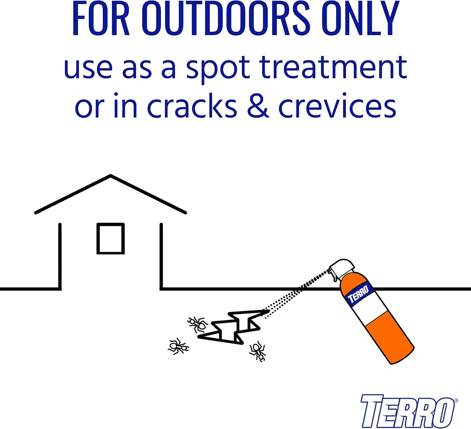TERRO T1700SR 19 oz Outdoor Ant Killer Spray