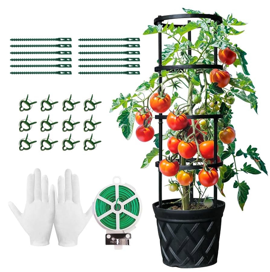 Amazon.com : UFelice Tomato Planter Boxes Pot with Trellis