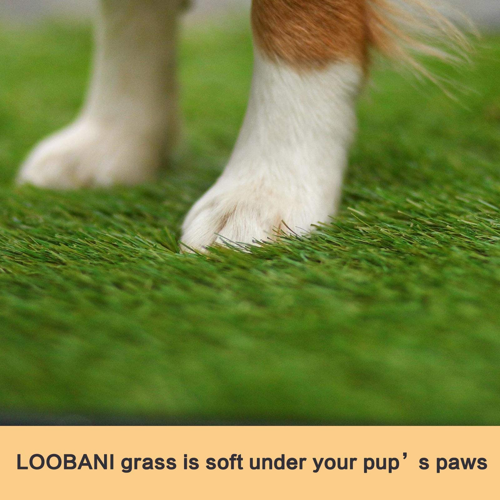 LOOBANI 45in x 29in Extra Large Grass Potty Tray, 2Pack Replacement