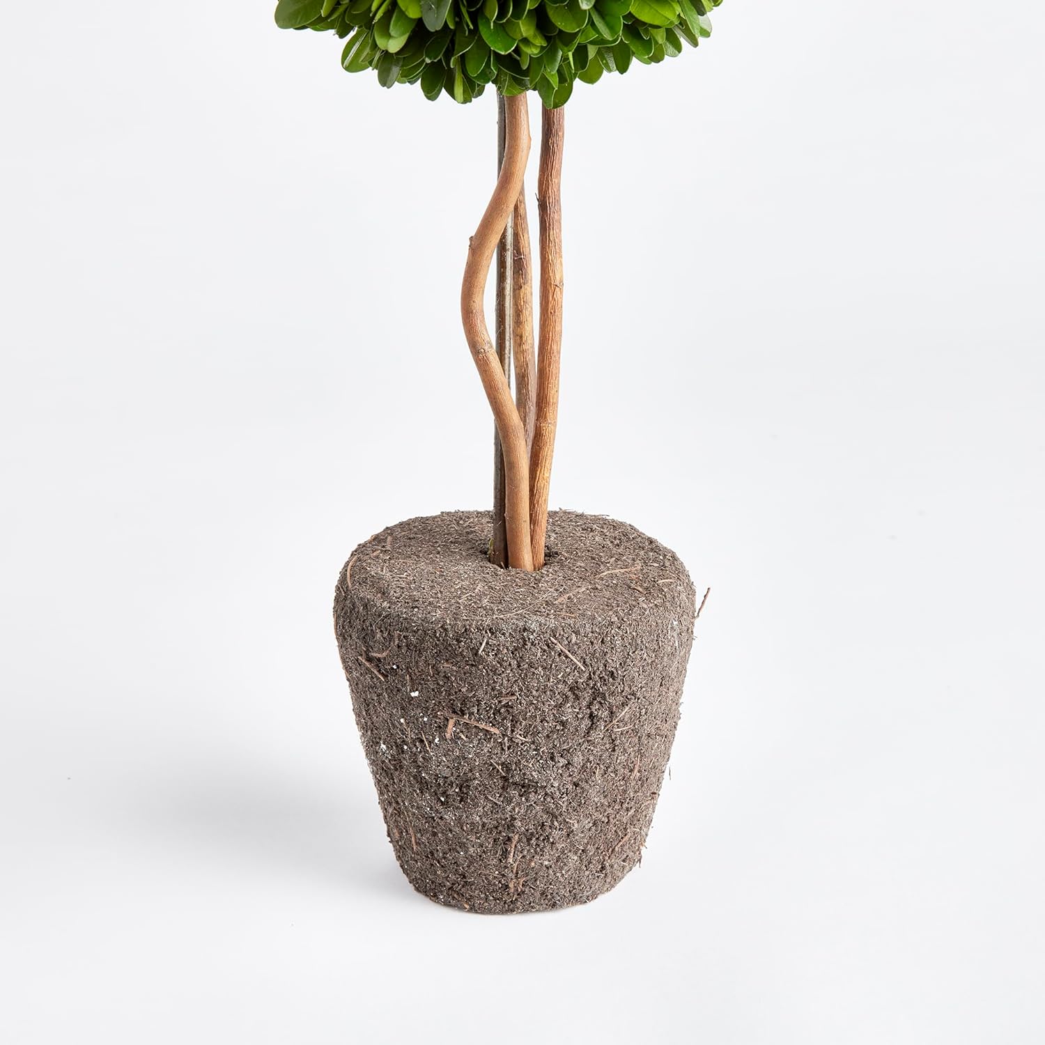 Napa Home & Garden Boxwood Single Sphere Topiary Drop-in 16" Green