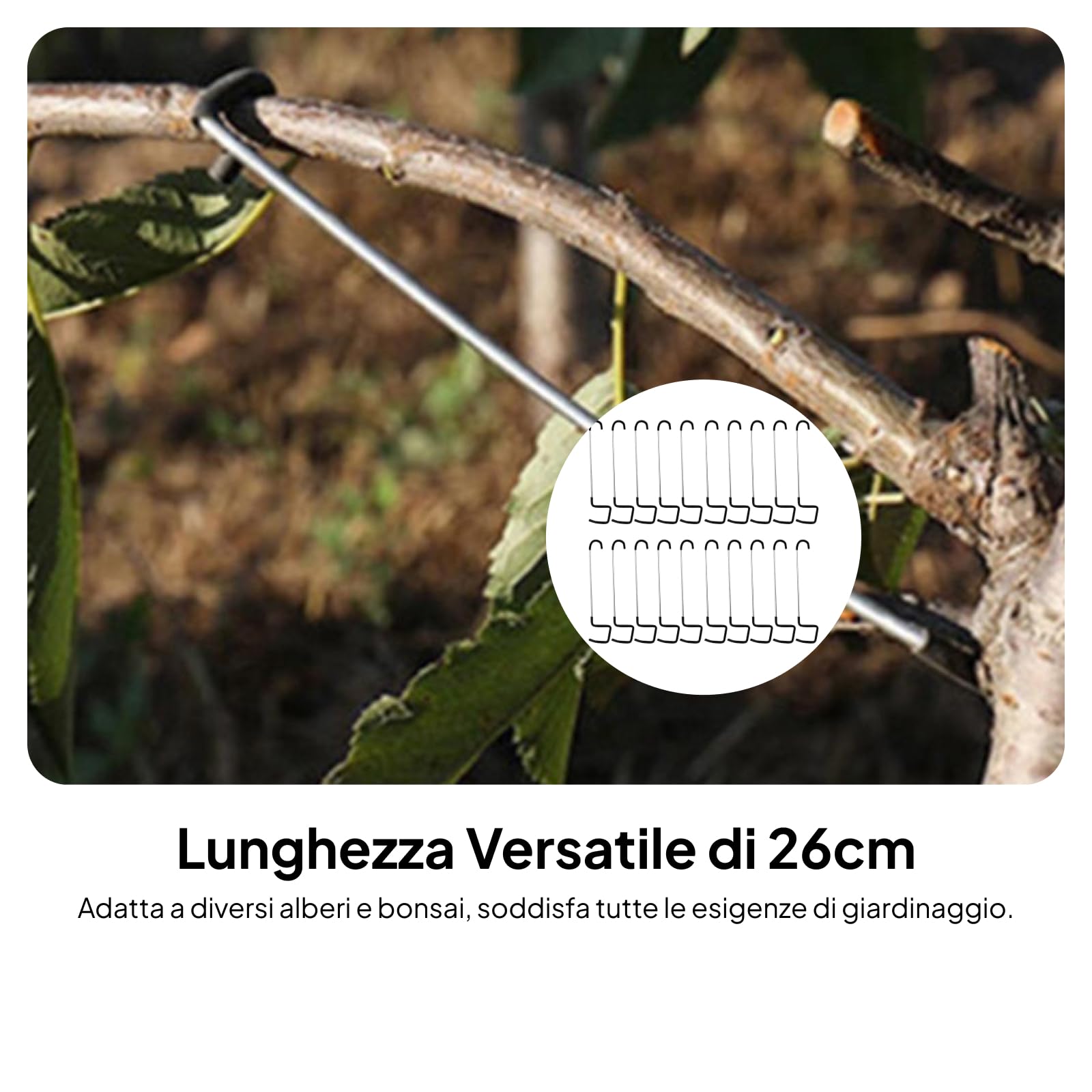 Gralara 20x Divaricatori per Rami di Alberi da frutto Attrezzi per Modellare Il Giardinaggio Modellatori per Rami di Alberi da frutto per Piante in Vaso, 26 cm