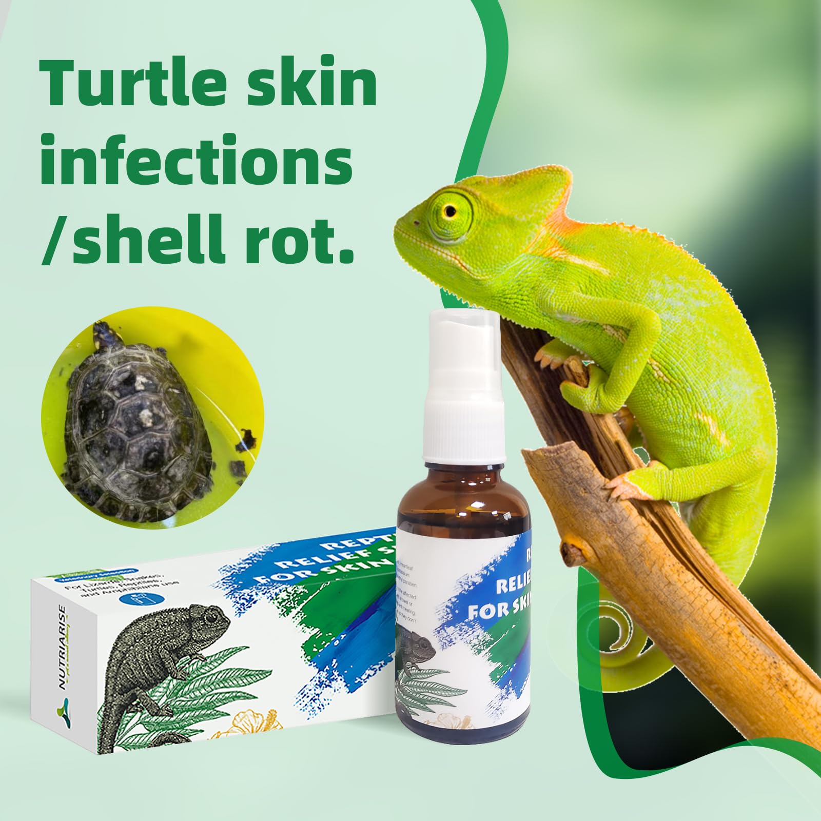 REPTIRE CARE Ⅰ・Ⅱ