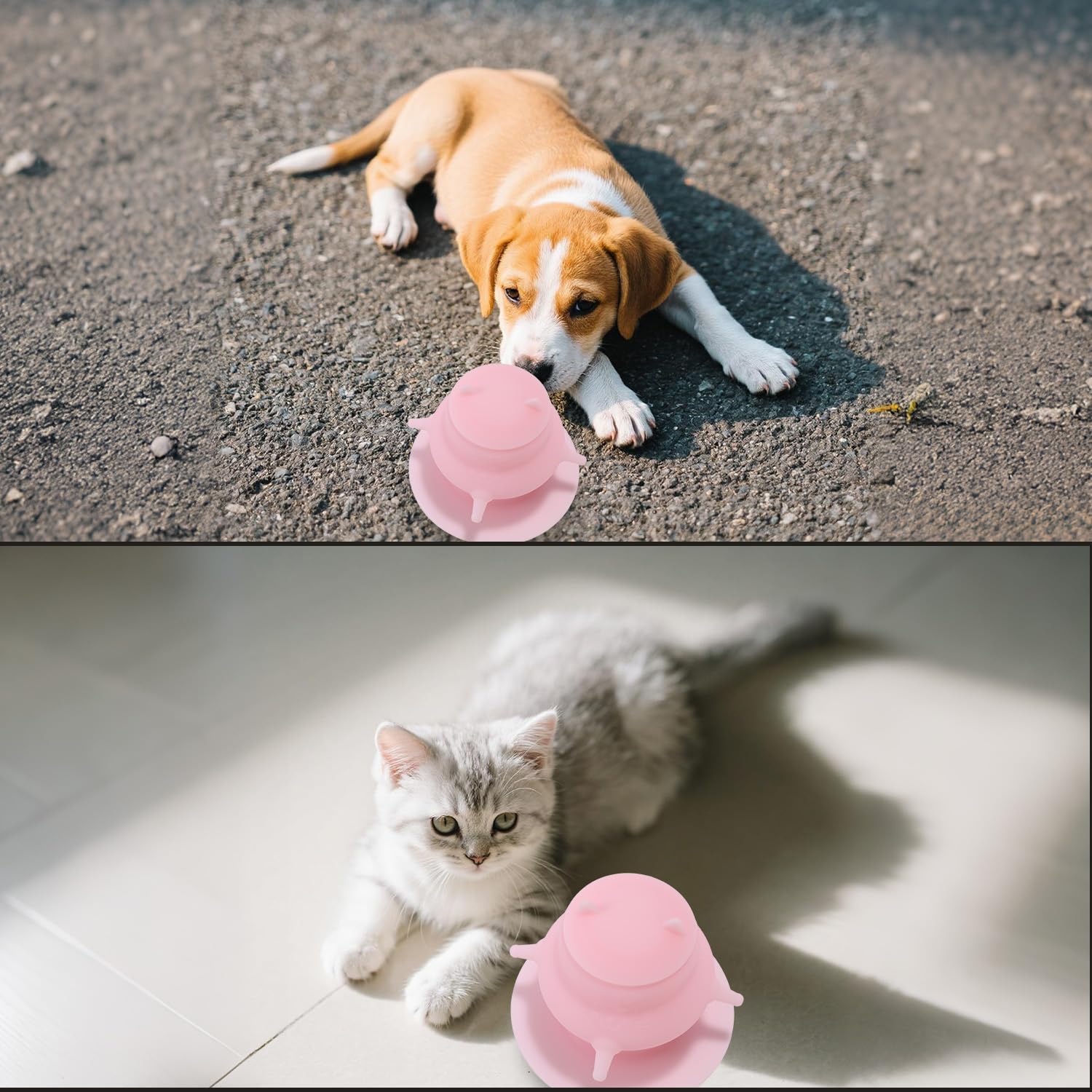 Lyreh Distributeur de Lait pour Chiots avec Quatre Tétines Factices, Station d'alimentation en Silicone Rose Chiots Biberon Anti-Fuite pour Chatons Nouveau-Nés Chiens et Chatons