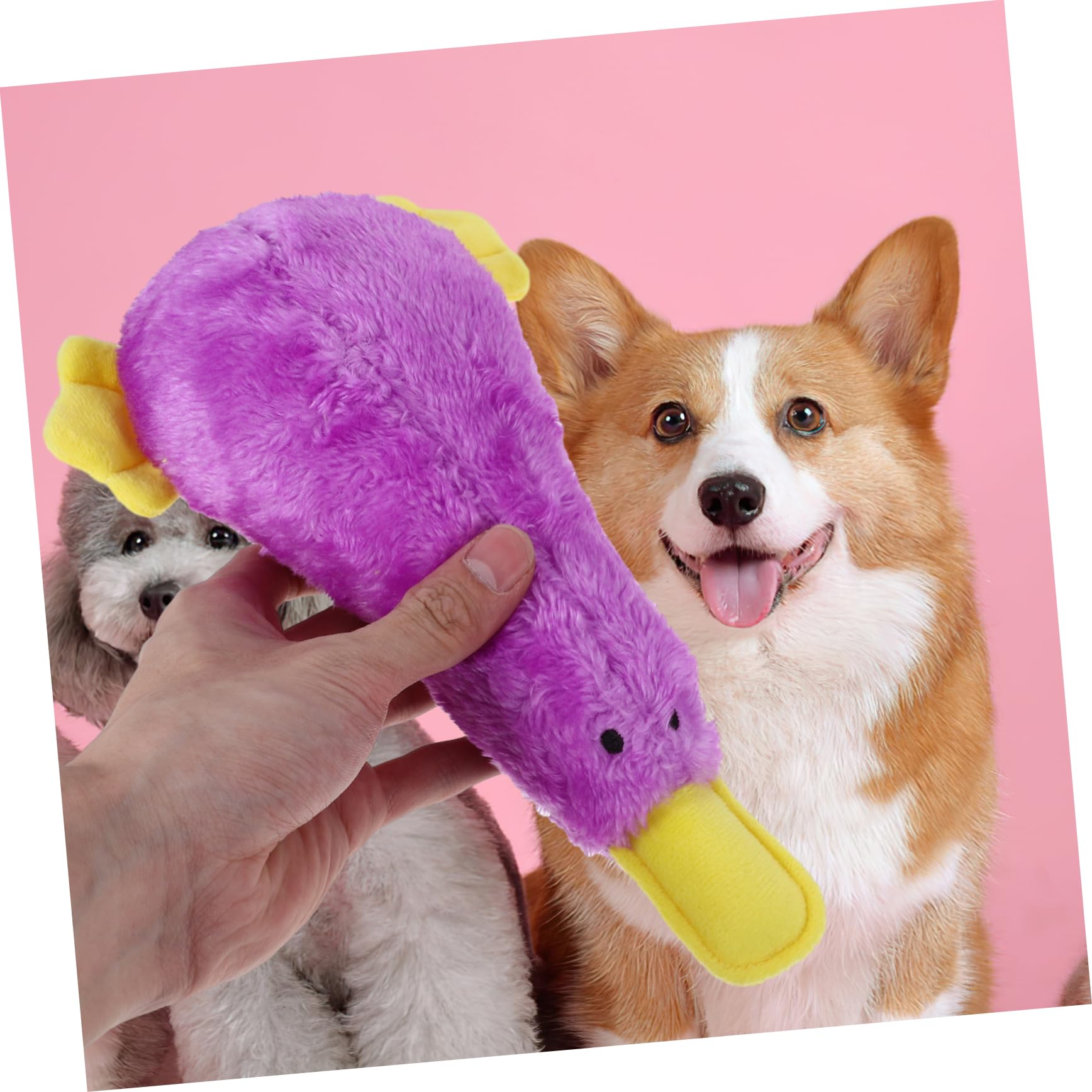 HANABASS Jouet pour Chien Qui Couine Jouet à Mâcher pour Chiot Oiseau Motif Dessin Animé