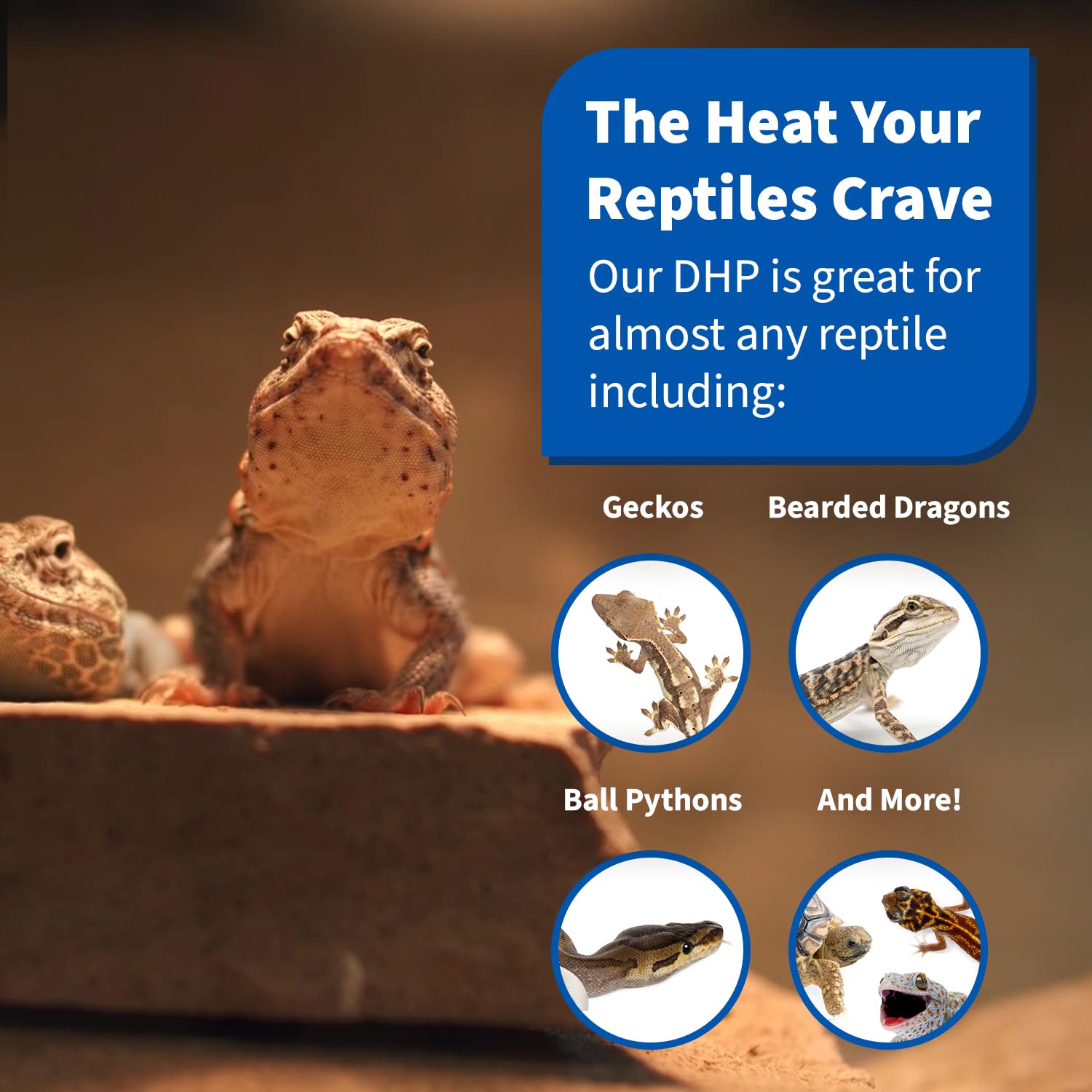 Pangea 75W Deep Heat Projector for Reptiles with Carbon Fiber Filament, Core Warming Infrared A and B Bulb for Basking Lizards, Designed for Ceramic Sockets (75 Watt) - image 6