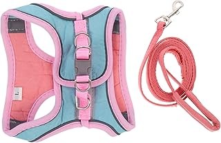 1 Conjunto Arnês Para Animais De Estimação Arnês Para Cães Pequenos Coleira Reflexiva Coletes Reflexivos Cinto Arnês Para Cães Corda De Controle Para Animais De Estimação Colete