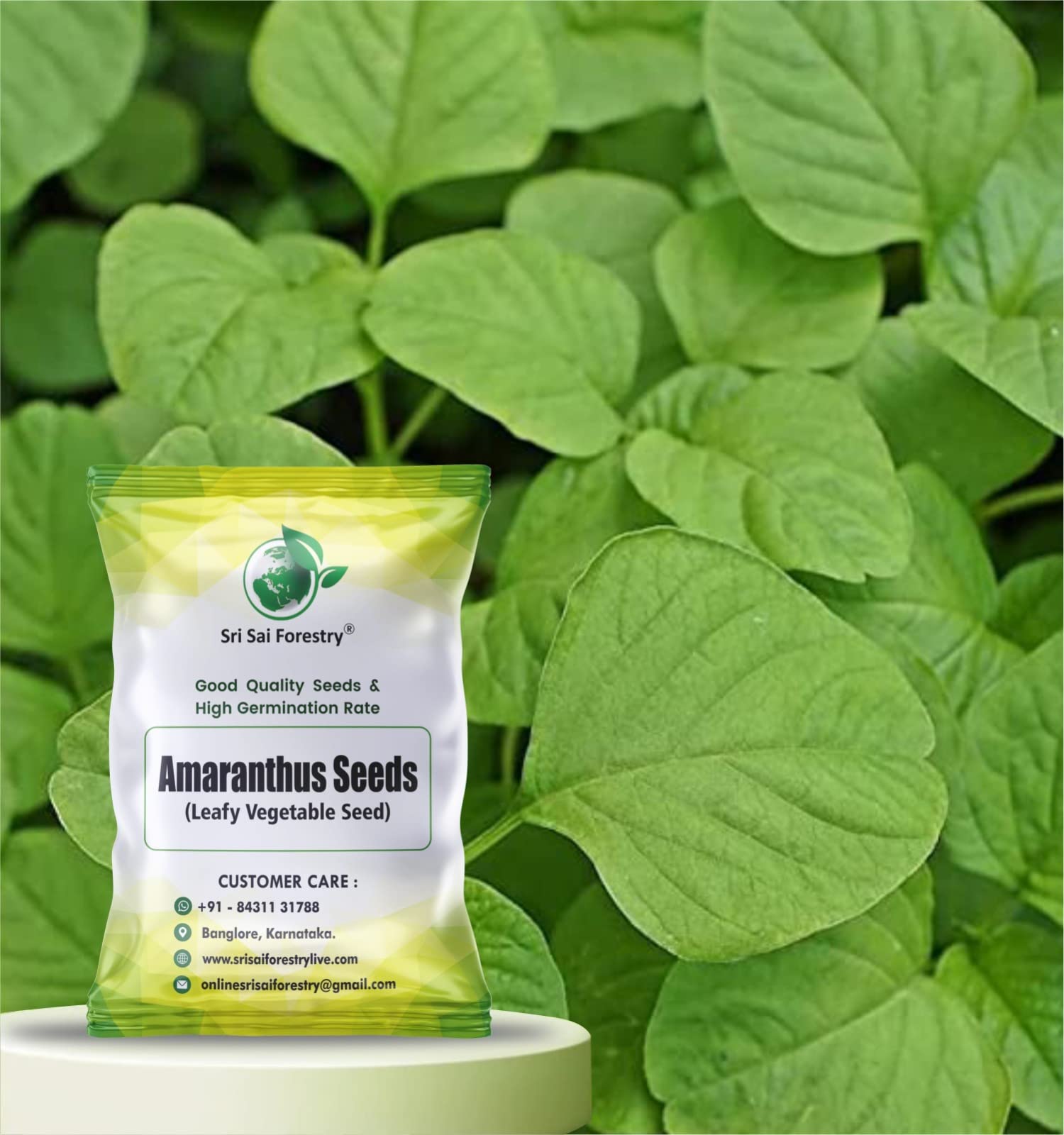SRI SAI FORESTRY Green Amaranthus Seeds for Home Garden, Pack of 3000 Seed, Amaranth Leaf Chawli Thotakura Dantu Harive Soppu Sirukeerai (B0C3WCF6ZJ) Amazon Price History, Amazon Price Tracker