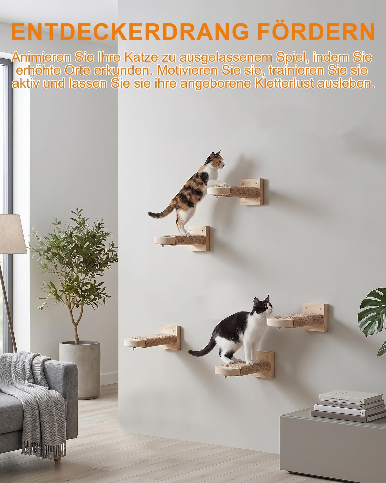 4 Stück Katzentreppe Wand: Kletterwand Katzen aus Massivholz mit Juteseil 21cm bis 35kg Wandliege zum Klettern Ruhen Kratzen für Wohnung Katzen