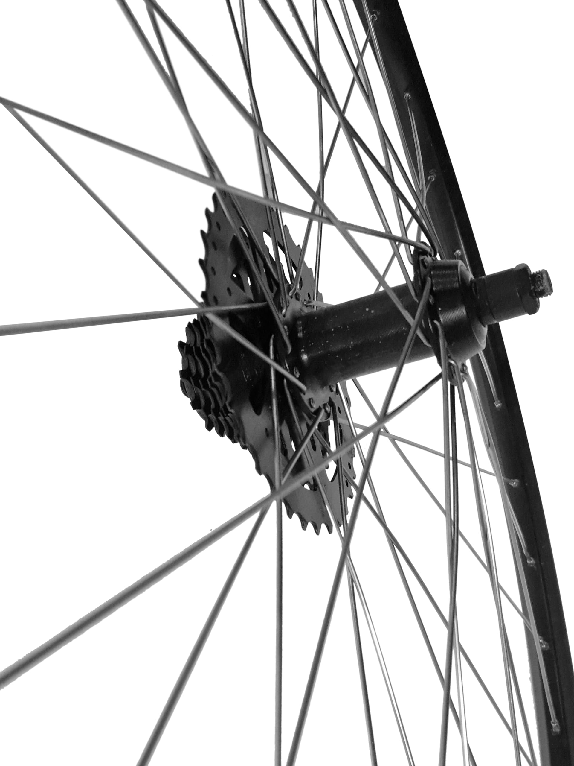 28 Zoll Laufradsatz Disc – Mit Hohlkammerfelge, Shimano Nabe Hg31 H 727489