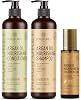 Argan Oil Shampoo and Conditioner Set 2 x 16.9 Oz - MagiForet Organic Shampoo & Conditioner Sulfate Free - Soft & Smooth, Gentle on Curly & Color Treated Hair,For Men & Women hair oil set