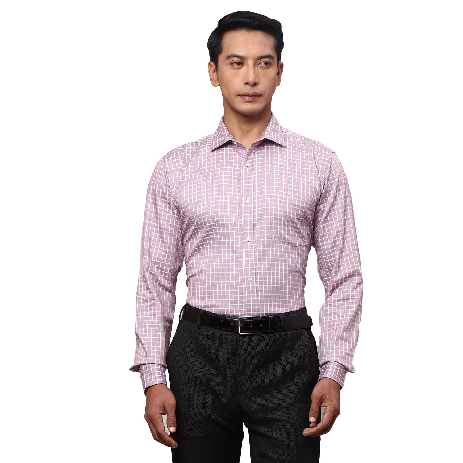 park avenue Men Cotton Regular Fit Shirt-picture-26
