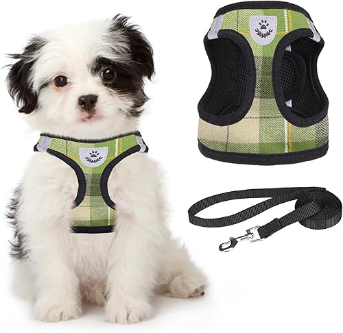 KOOLTAIL Juego de arnés y correa para perro pequeño, arnés de malla suave acolchado ajustable a cuadros reflectantes, verde, S