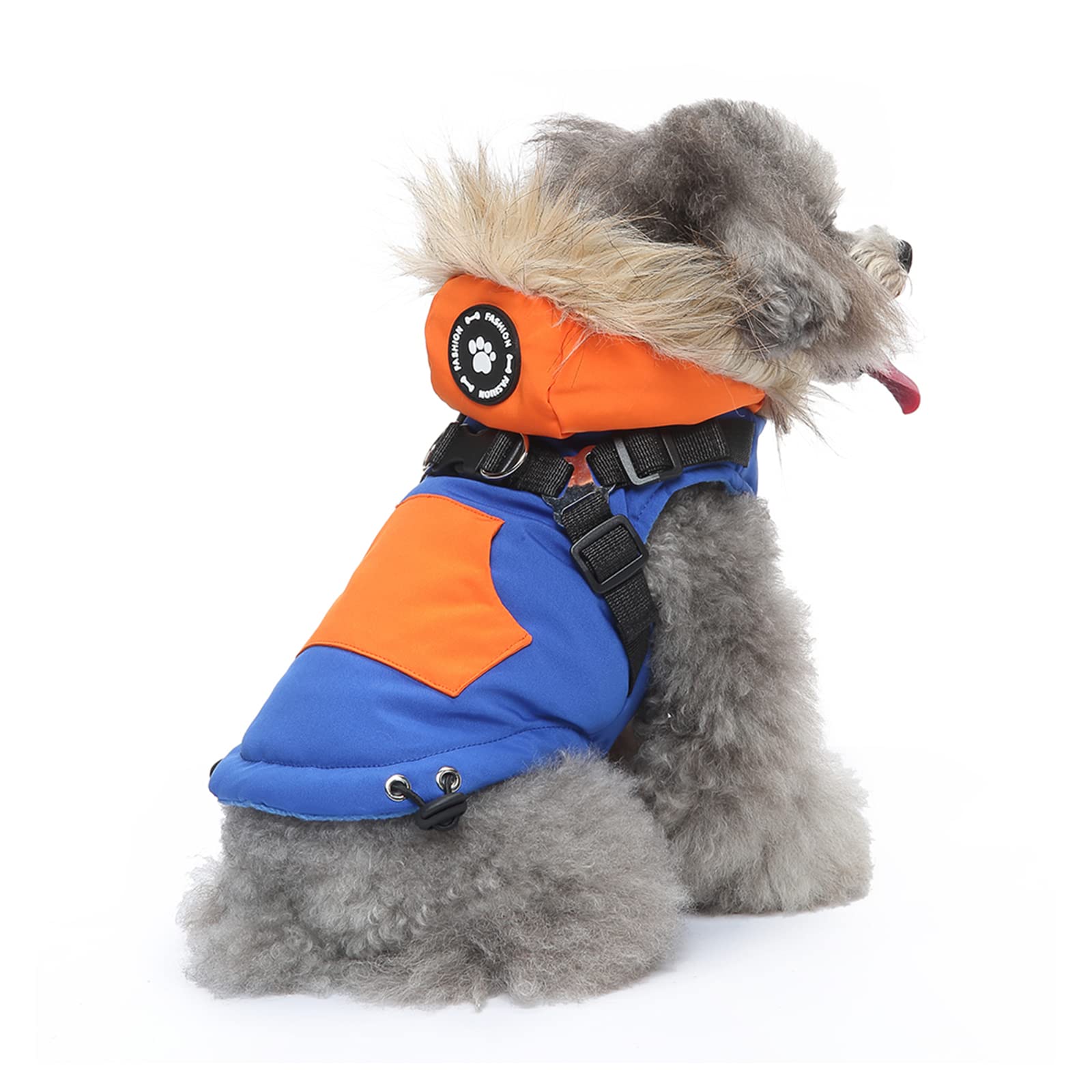 Manteau d'hiver imperméable pour chien idéal pour les promenades sous la pluie