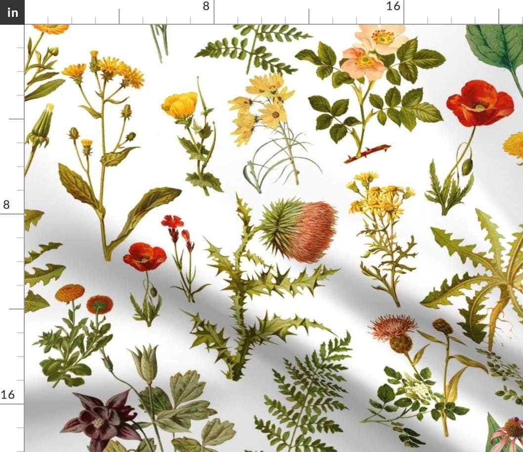 Spoonflower Fabric - Wildflower Botanicals Nature Art Vintage Florals Watercolor Printed on Petal Signature Cotton Fabric by The Yard - Sewing Quilting Apparel Crafts Decor