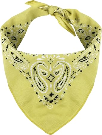 MW Watersports Cotton Bandanas, Bulk 12 Pack Ideal for Men and Women Classic Western Paisley Design Large Dimensions