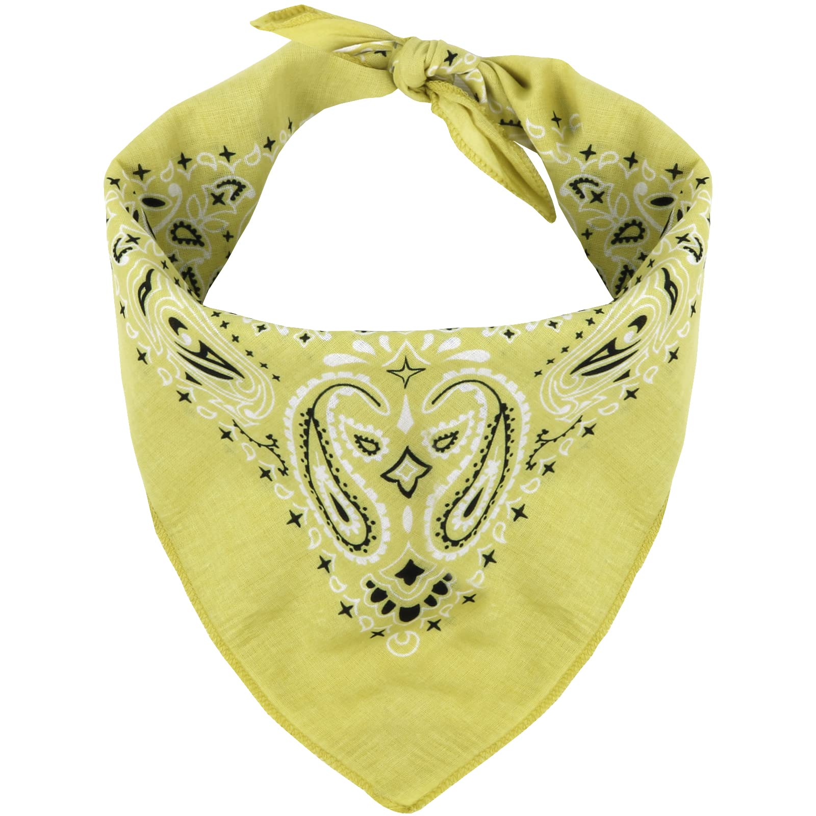 MW Watersports Bandanas de algodón, paquete de 48 unidades, ideales para hombres y mujeres, diseño clásico de cachemira occidental, dimensiones grandes