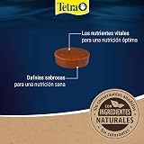 Ver la foto 4
