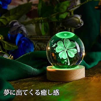大玉 希少インテリア ザミアプミラ 楽天市場】観葉植物 ザミアプミラ メキシコソテツ（花・ガーデン