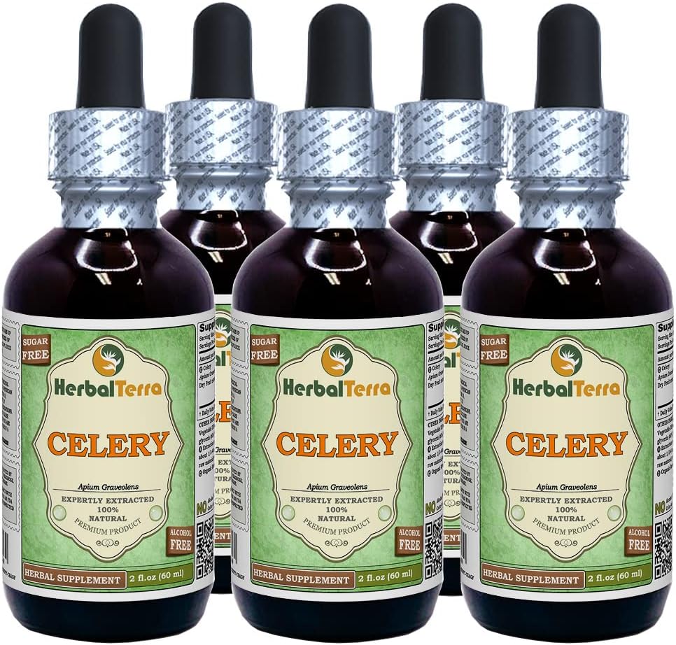 Celery (Apium Graveolens) Glycerite, Organic Dried Fruits Alcohol-Free Liquid Extract (Brand Name: HerbalTerra, Proudly Made in USA) 2x4 fl.oz (2x120 ml)