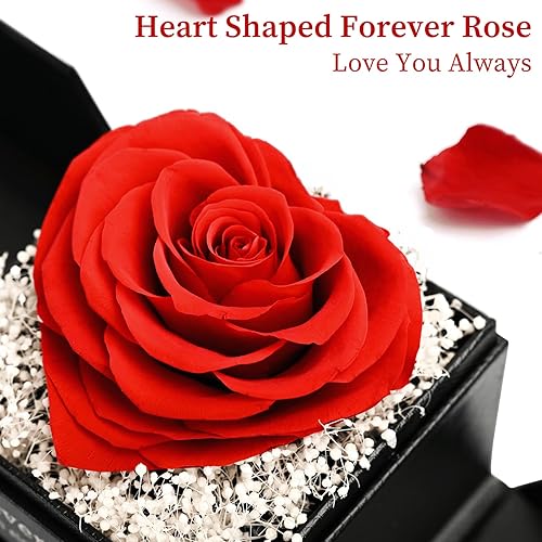 Miniatura 4 de LIFELUM Rosas preservadas de corazón con pulsera de tenis, flores eternas para entrega, rosa eterna real, regalos románticos de cumpleaños para