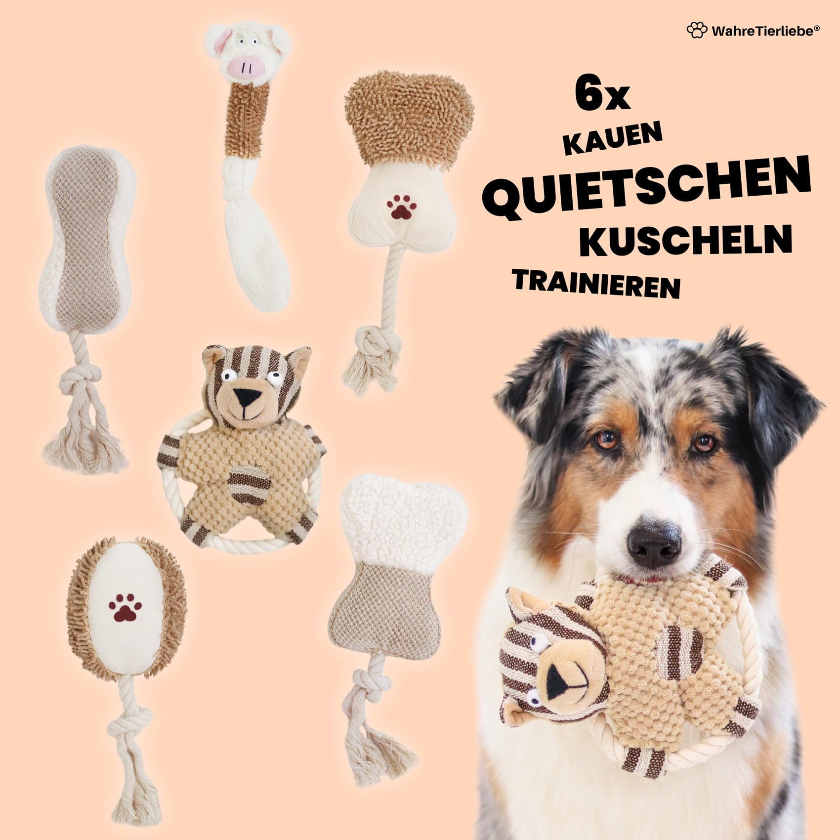 Wahre Tierliebe Bellbox - All in One Hundespielzeug I Spielzeugbox für Hunde | 6X spannende Quietsch, Kau & Seil Spielzeuge für den Spiel und Kautrieb I Robustes Zerrspielzeug (6X Stück mit Box)