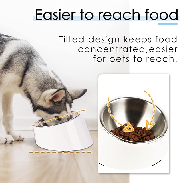 Foto 2 de 8 de Super Design - Comedero con ángulo de inclinación de 15 Grados para Perros y Gatos. Comedero para Mascotas…