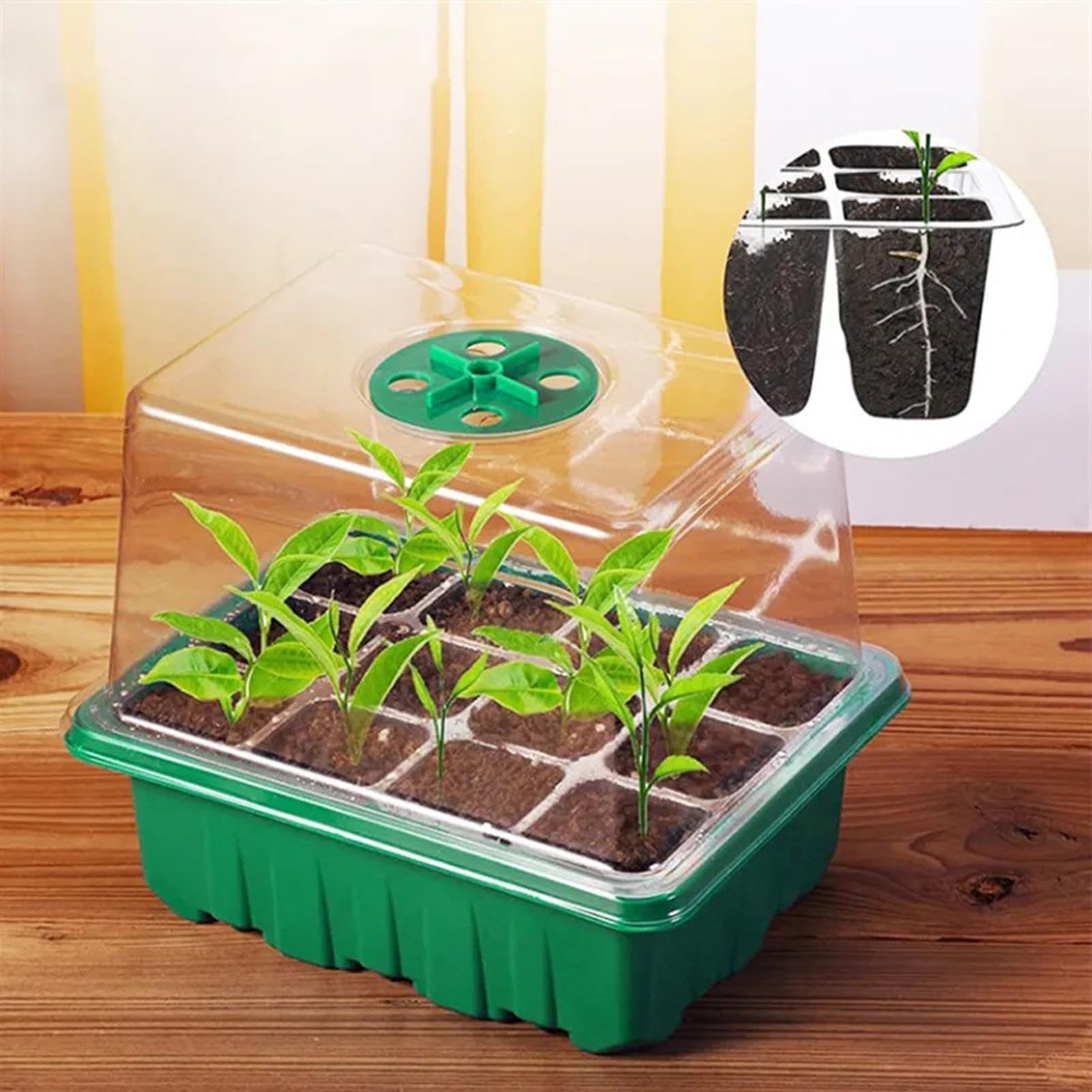Plateaux pour, Kit Initial de Jardinage intérieur, Plateau de Germination des, Kit de Propagation des, Kit de Propagation des Clones, Kit de démarrage des de dans