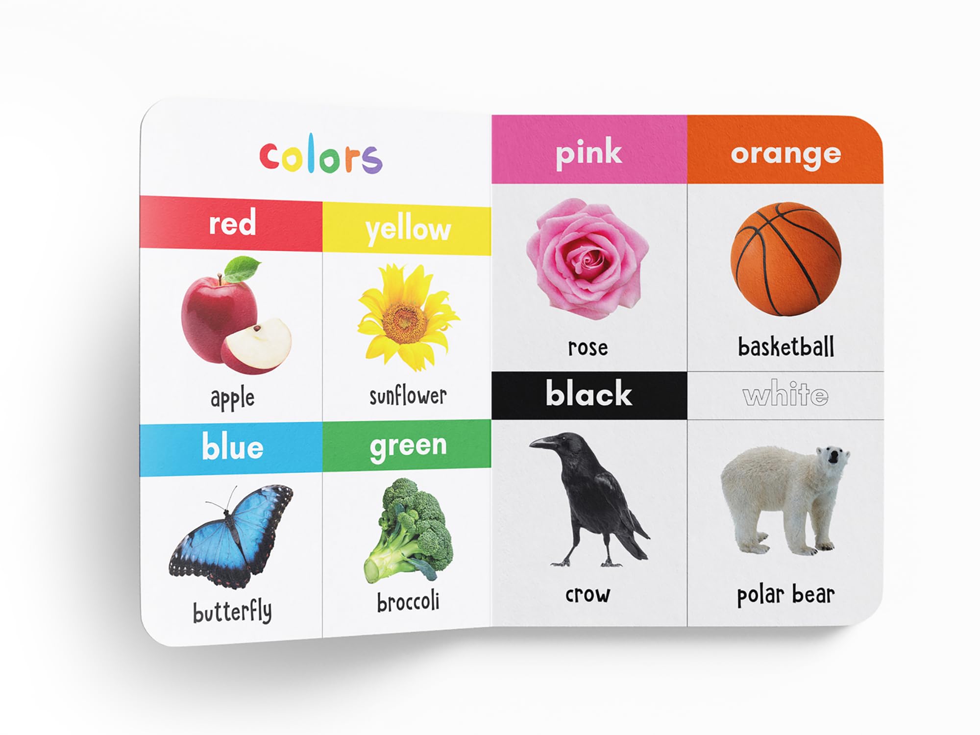 My First 100 Words For Kids | Age 0β5 Years | Vocabulary Building Board Book | Early Learning | Everyday Words | Animals | Food | Toys | Objects | Bright Pictures | Babies & Toddlers | Latest Edition 4