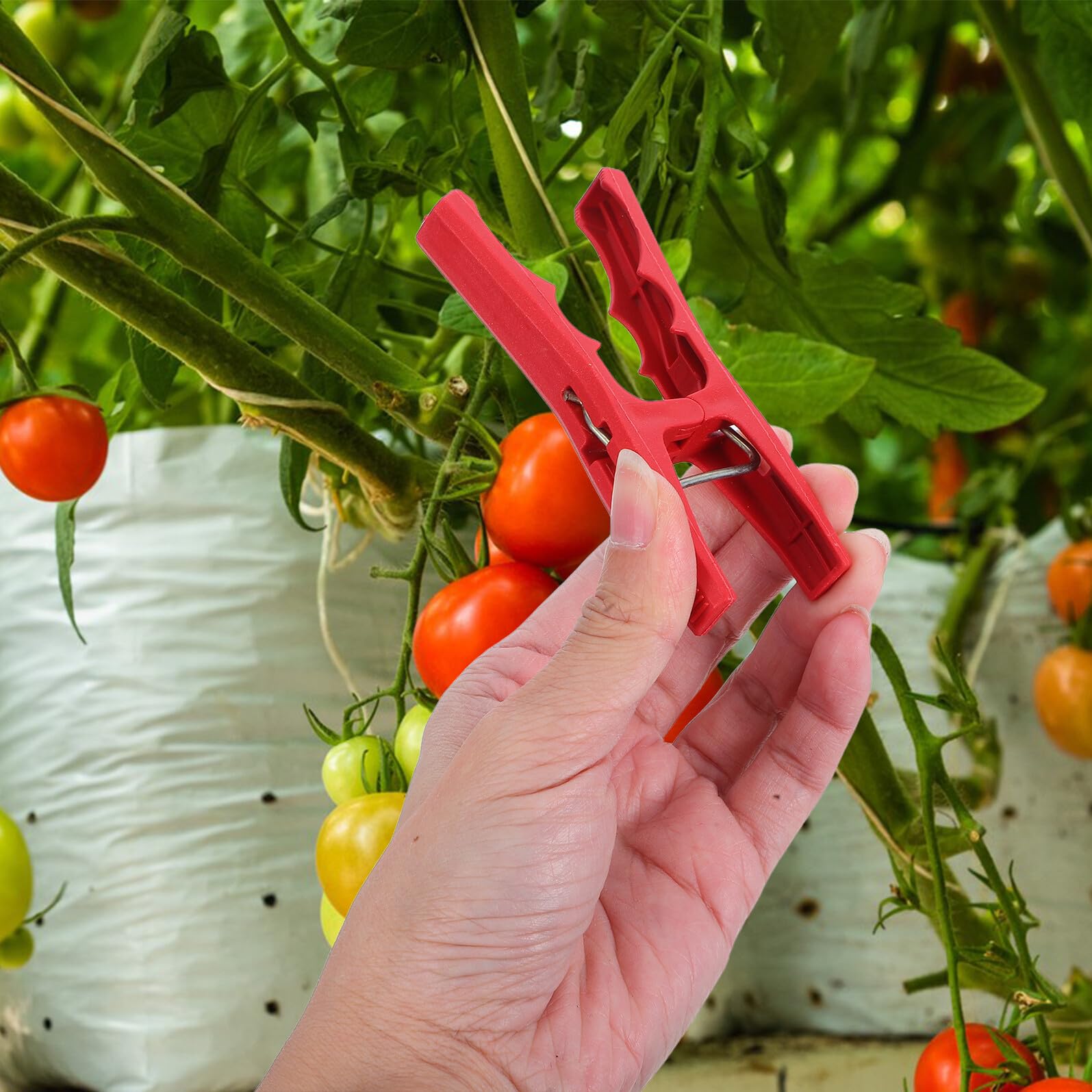 Wiederverwendbare Rot Stück 100 Stützclips Kunststoff Gartenpflanzen
