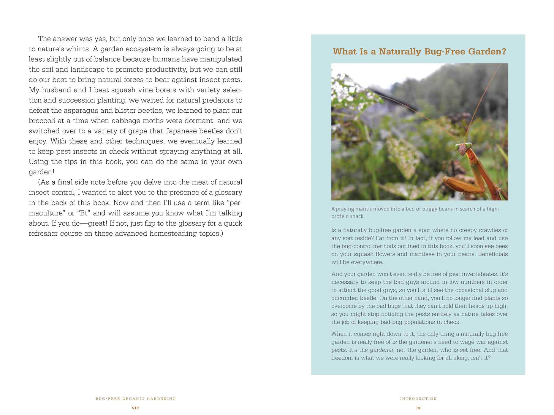 Organic Pest Control: Chemical-Free Gardening -6 Organic Pest Control: Chemical-Free Gardening -6