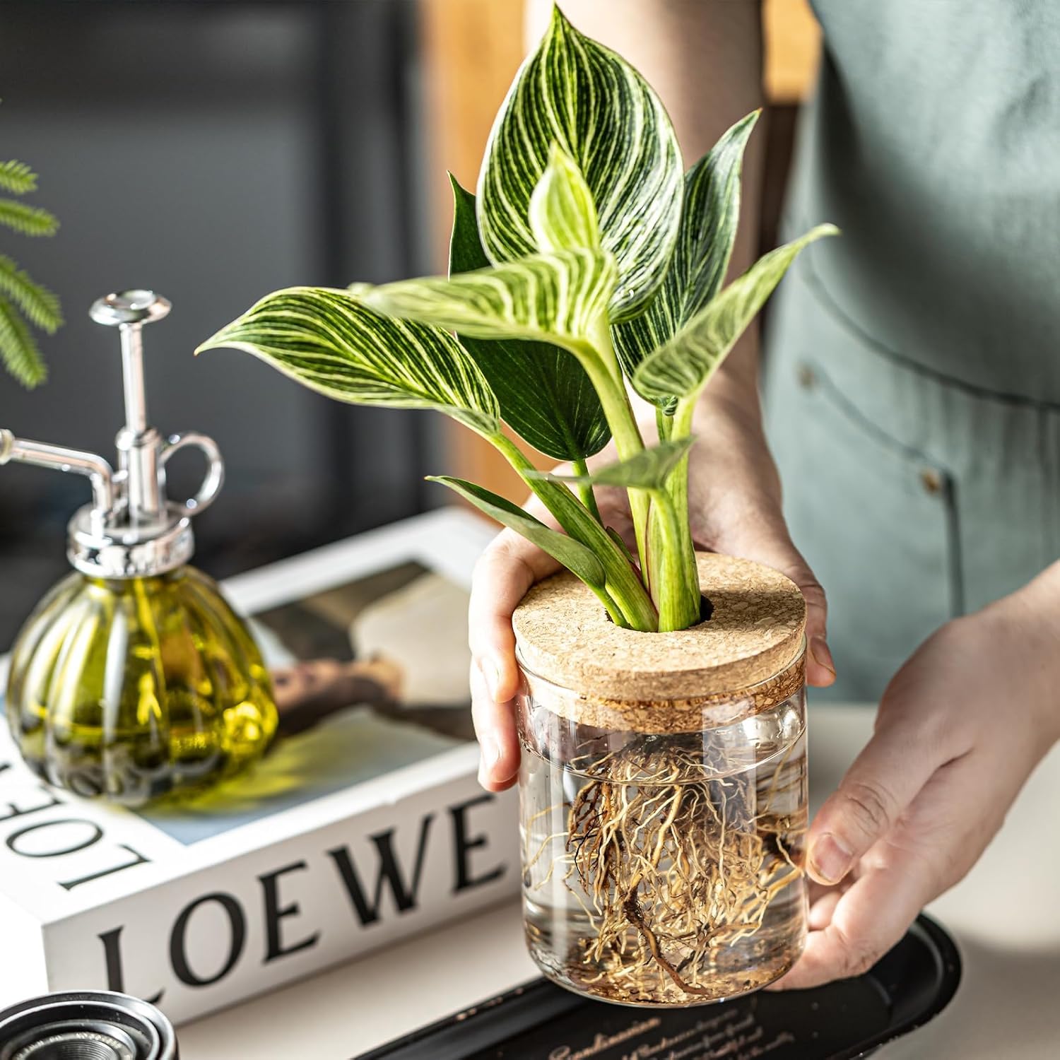 Plant Propagation Station,Hydroponic Glass Container Vase 2 Sizes Planter Propagated Jars for Desks, Houses, Garden Decorations,Home Kitchen Decorations and Gifts cu.20.5 (6pcs) - Image 7