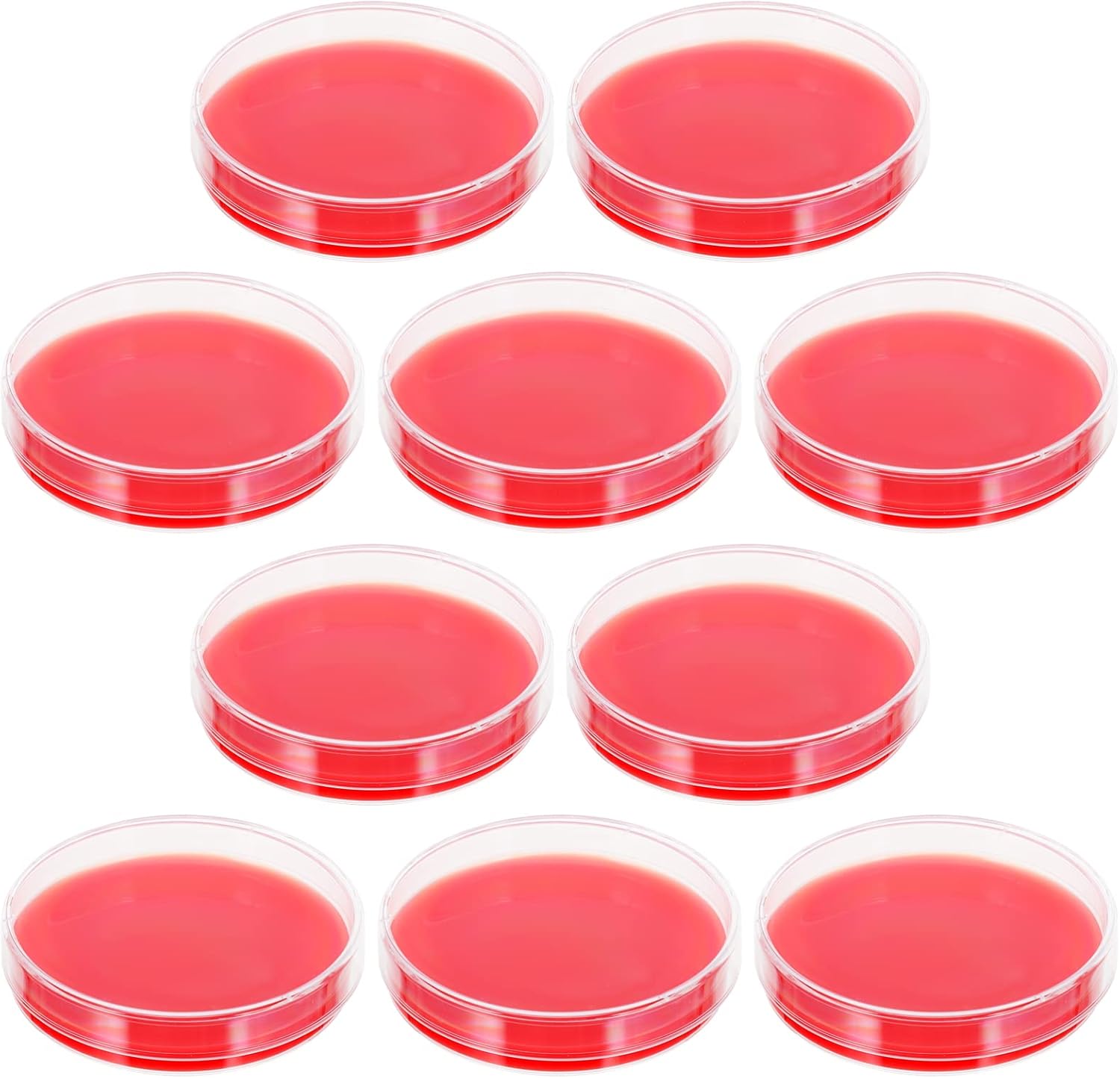 Buy Baluue 10pcs Malt Extract Agar Plates Lab Petri Dishes Blood Agar Plates Culture Dishes for
