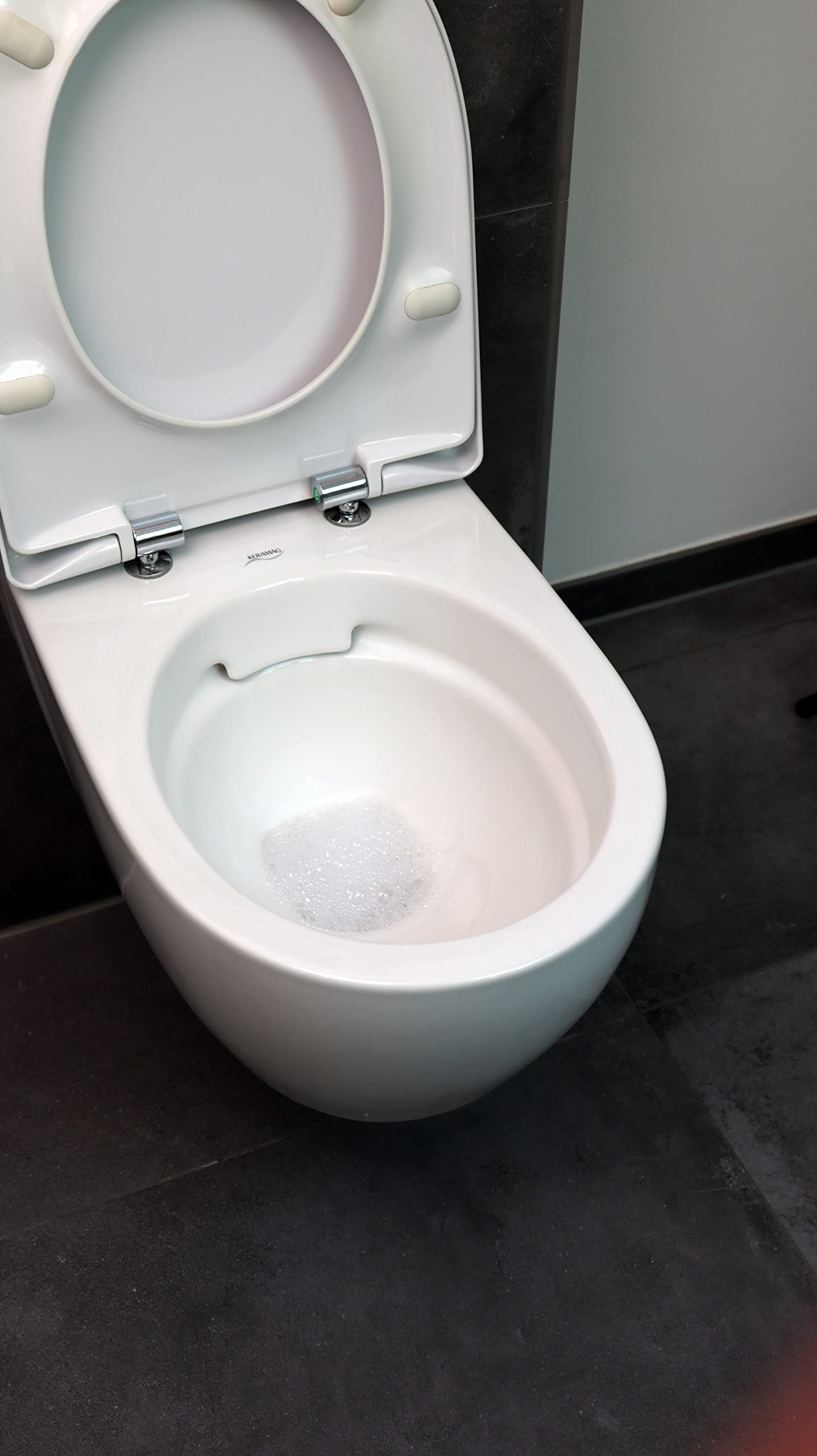 AQUA CLEAN PUR WC Power Pulver 5 kg – WC Reiniger mit Aktivschaum, Kalk- & Urinsteinentferner, Keramikaufheller, kaltaktiv