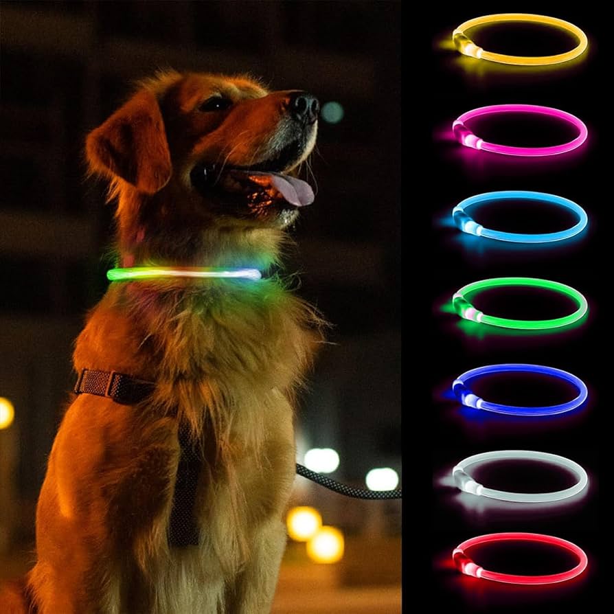 Amazon.co.jp: 【monet fav お散歩ピカピカ】LED 光る首輪 犬 1