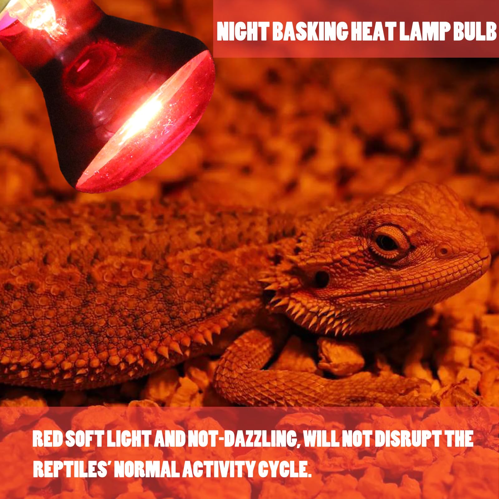 Reptile Heat Lamp Bulb 100 Watt, Day Time & Night Basking Spot Light Combo Pack, Amphibians Infrared Red Heat Light Bulb and Daylight Heating Lamp for Bearded Dragon, Leopard Gecko, Chicken, 4 Pack - image 5