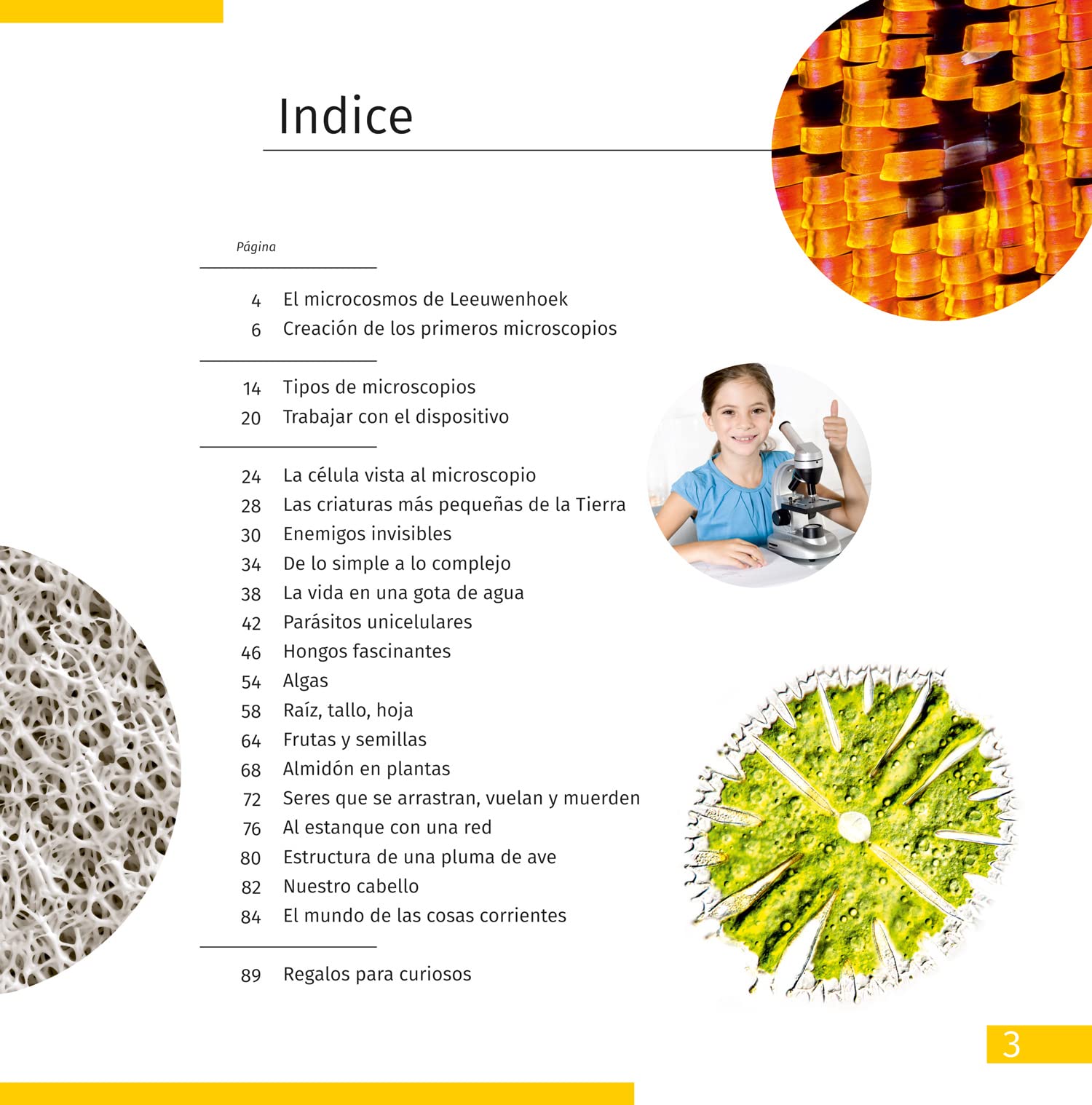 Mondo Invisibile. Libro Educativo Su Biologia, Microscopia e Mondo Microscopico per Bambini e Ragazzi di Elementari e Medie, Copertina Morbida (Edizione Spagnola)