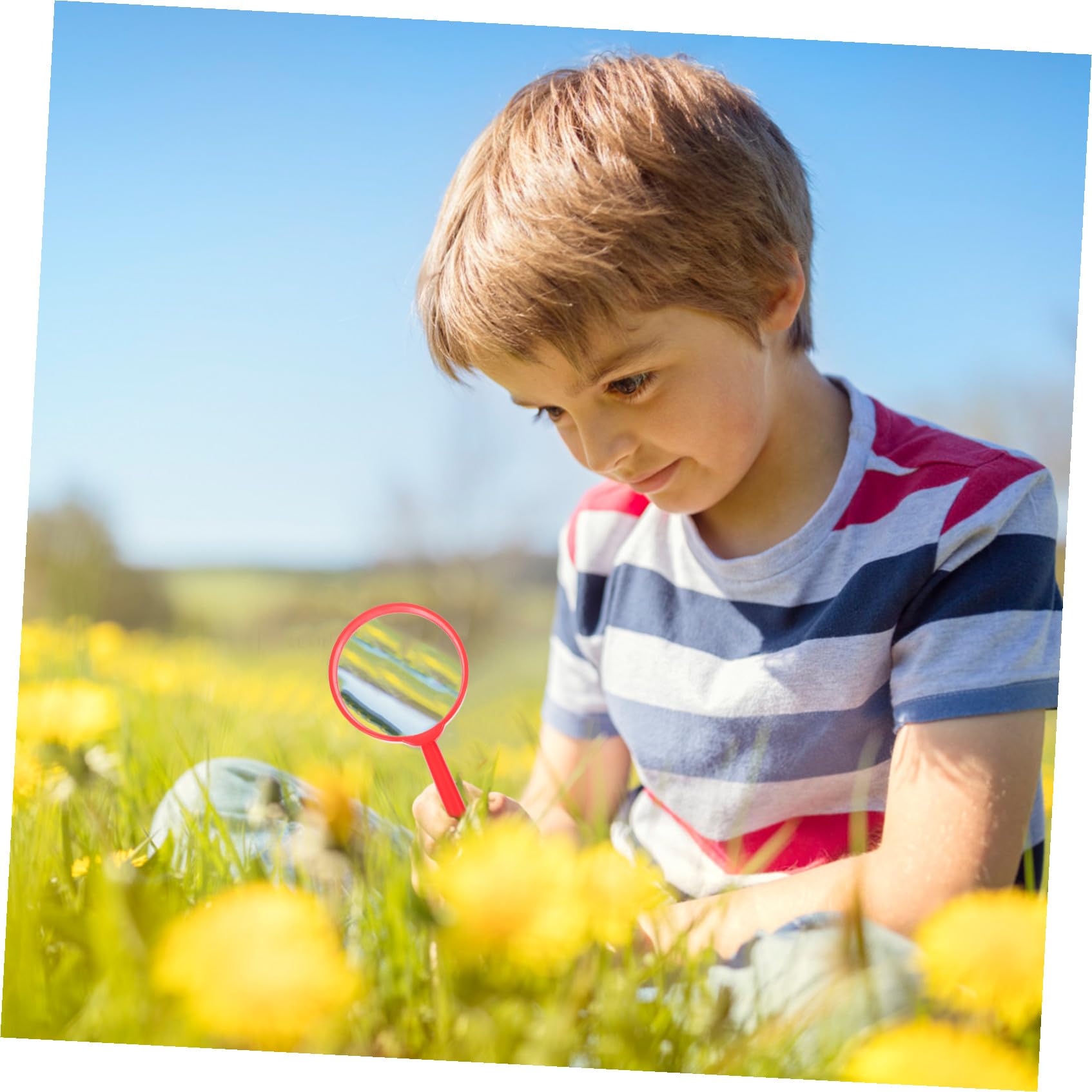 Caja de Observación para Niños al Aire Libre, 1 Juego Plástico