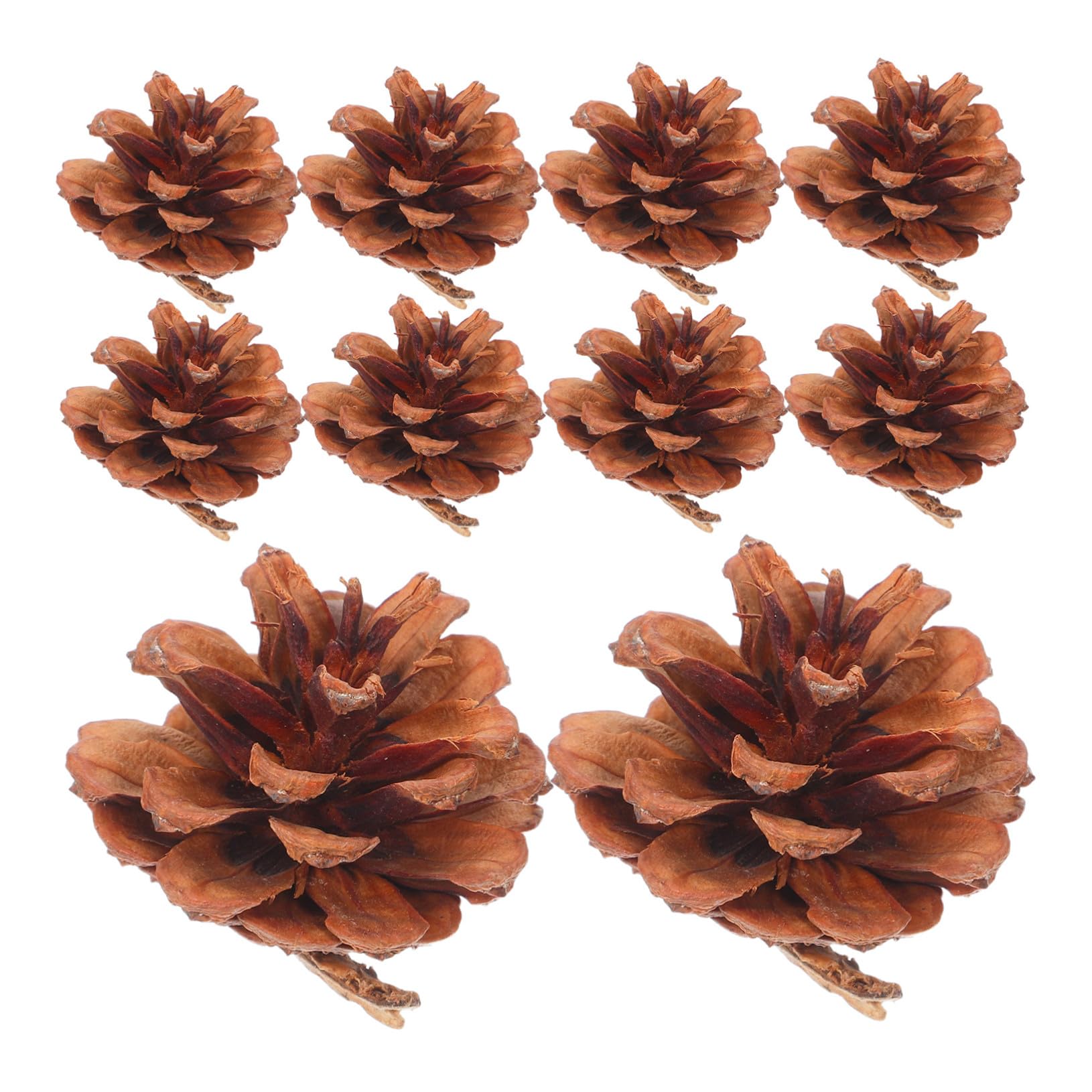 TOPBATHY 130 Mini Piñas de Pino Auténticas para Adornos Rústicos de Temporada, Relleno para Jarrones y Adornos Navideños para Mesa de Centro