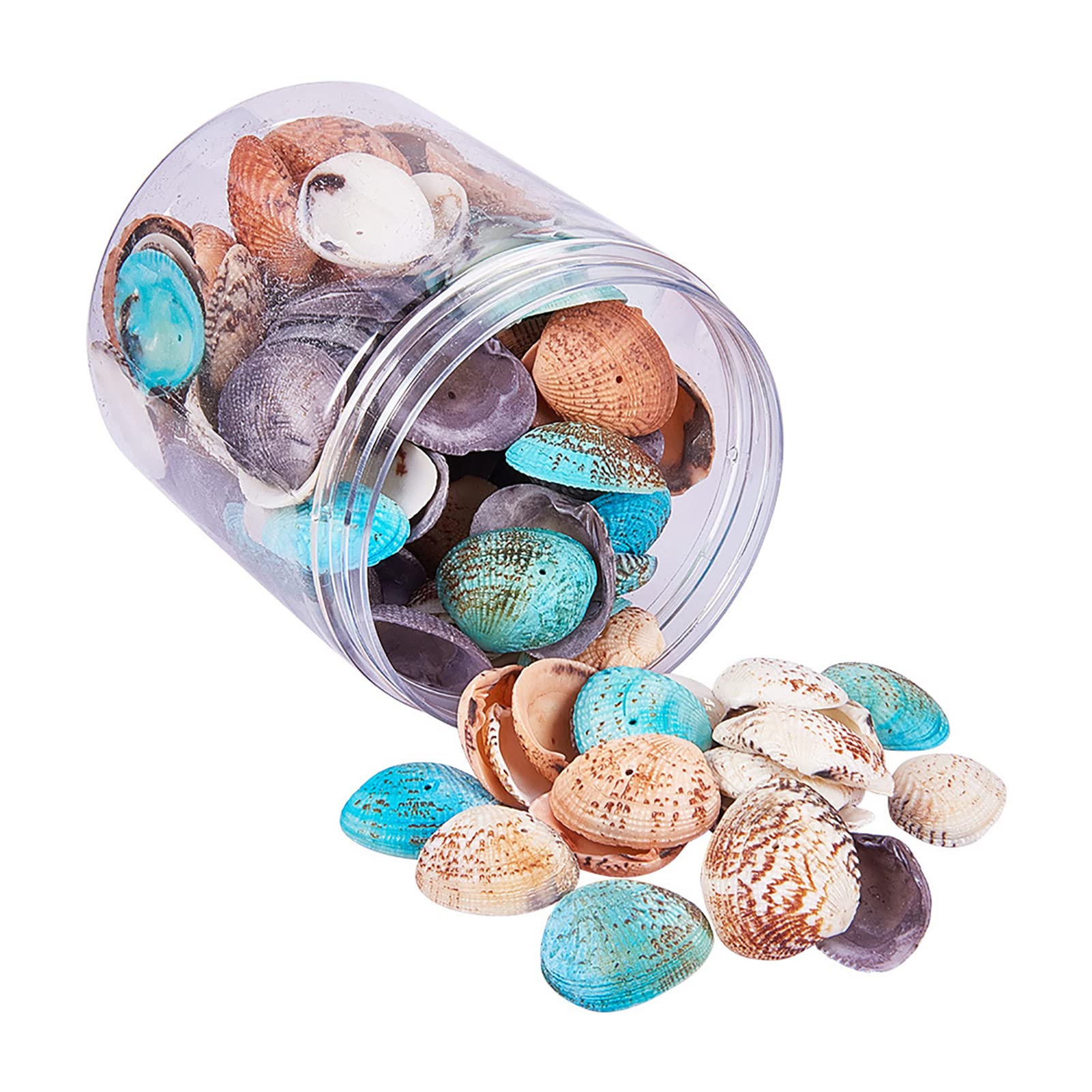 100~120pcs/box 32~37mm Dyed Scallop Shell Natural Sea Shell Beads Ocean Beach Seashells with 1mm Hole for DIY Jewelry Making Wedding Decor Beach Theme Party Vase Filler Fish Tanks