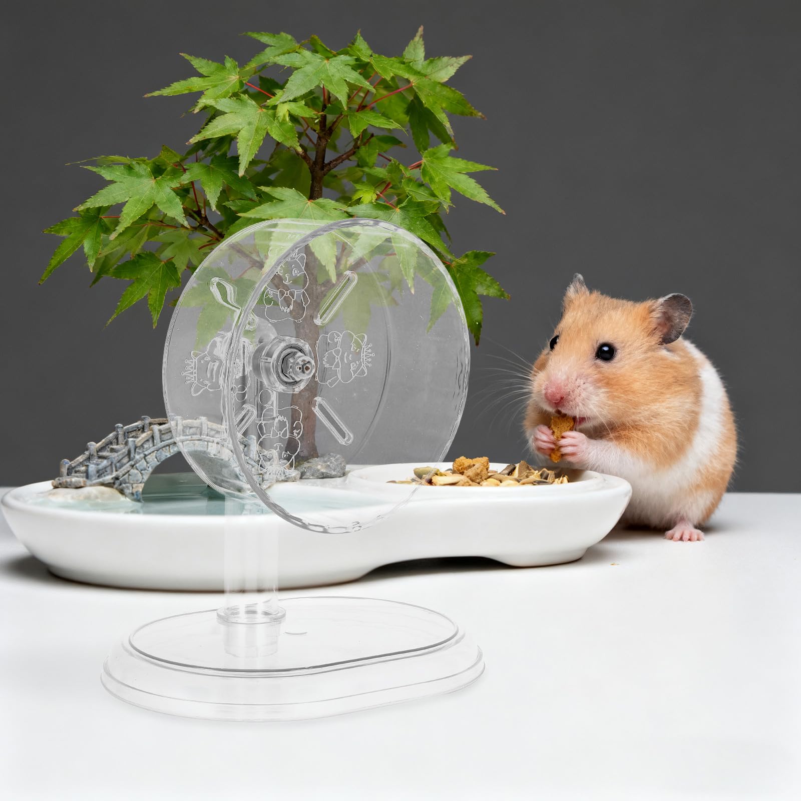 BESTonZON Transparentes Hamsterlaufrad: Leises Sportlaufrad mit Ständer für Zwerghamster, Rennmäuse und Kleintiere – Kunststoff-Spielzeug für Haustiere