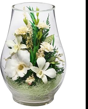 Fiora Flower | Real Preserved Flower Arrangement in Glass Vase | Long-Lasting Floral Decor | No Watering Needed | Gift for Anniversary, Birthday, Valentines Day, Sympathy Breeze