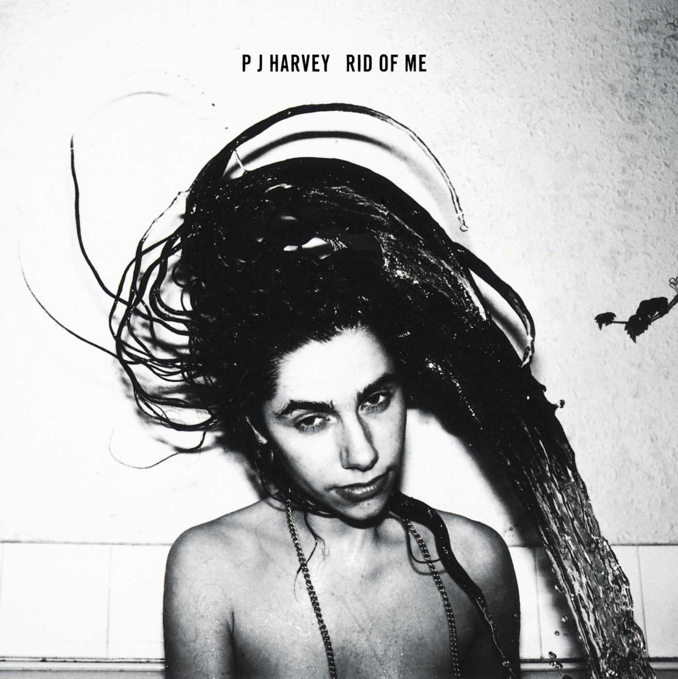 Rid Of Me [LP] [Disco de Vinil] por PJ Harvey — capa do álbum