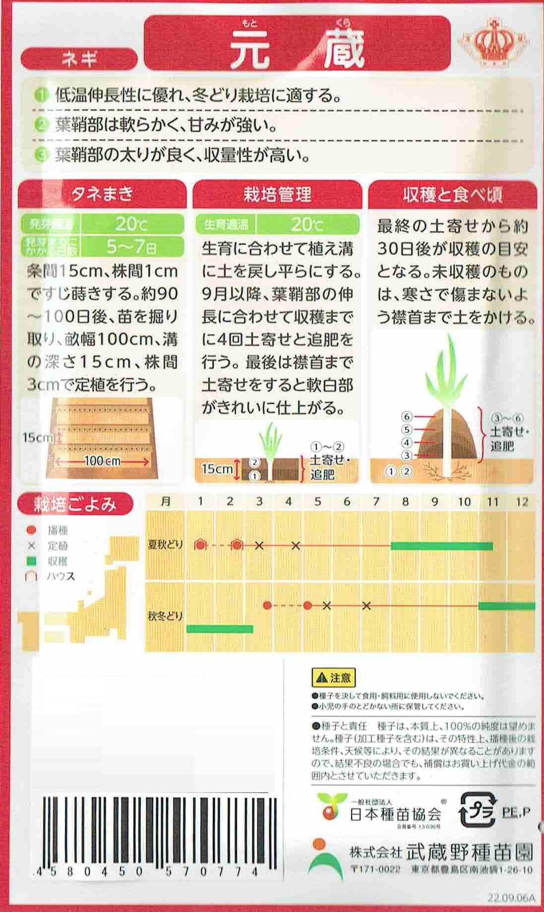Amazon.co.jp: 武蔵野種苗 ネギ 元蔵（もとくら） : DIY・工具・ガーデン