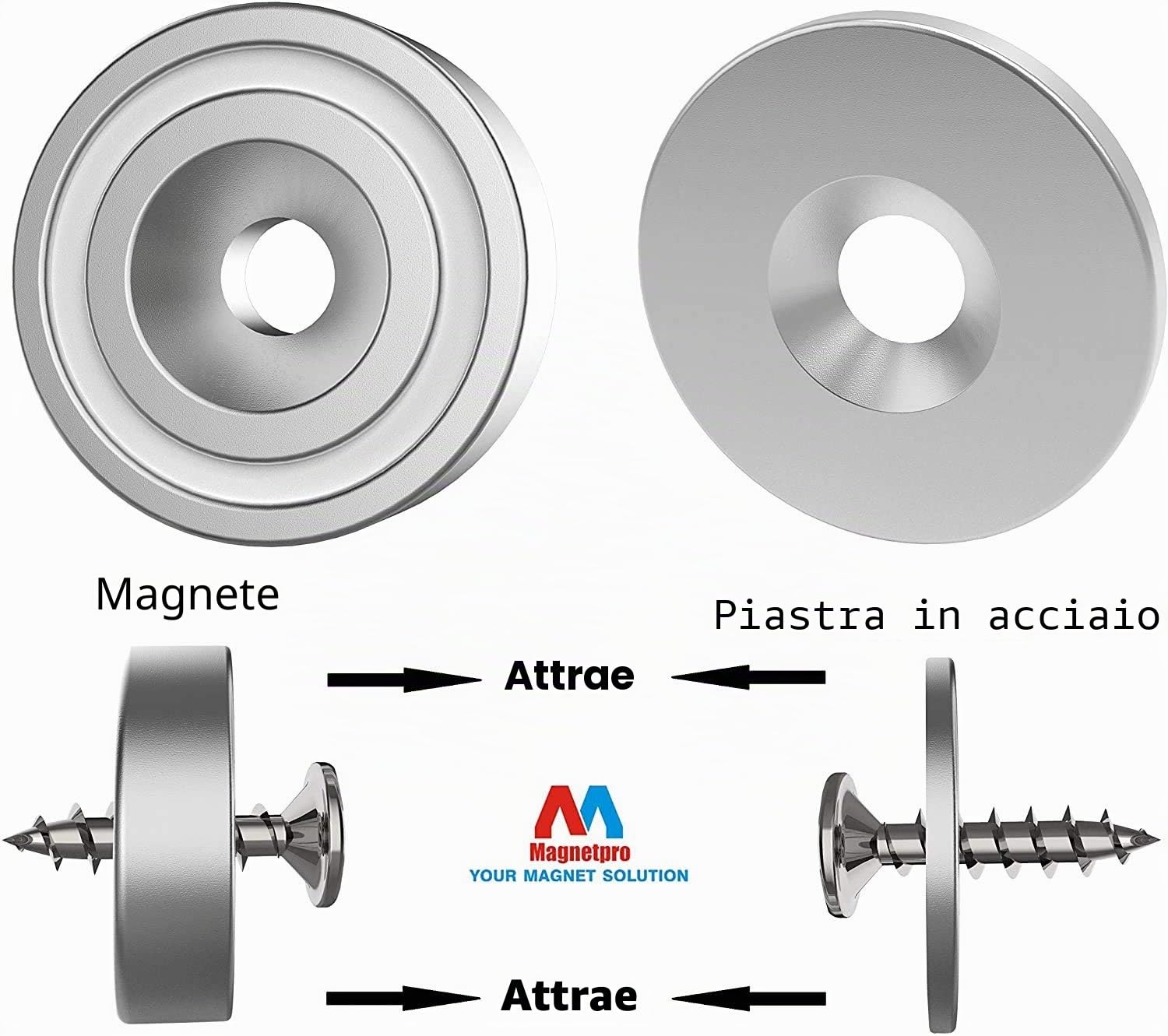 Magnetpro 12 pezzi magneti 10 KG forza 20 x 7 mm con foro e capsula, magnete al neodimio con base in acciaio svasato con viti e 12 cuscini in acciaio (Argento Brillante)