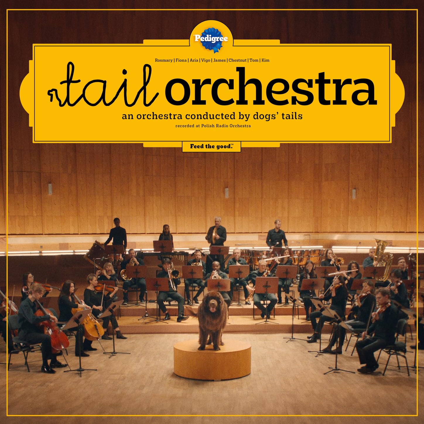 Pedigree® Tail Orchestra