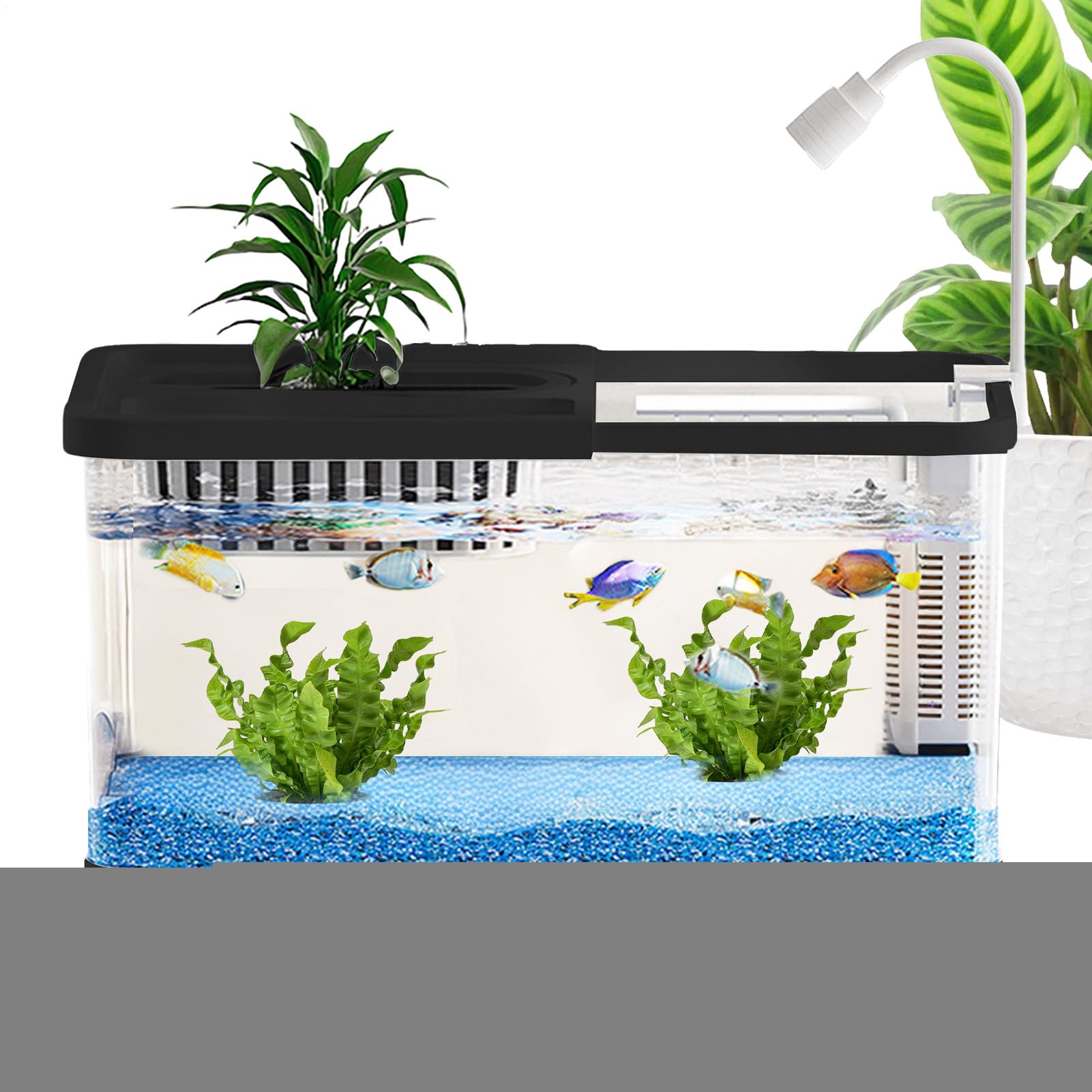 Betta akwaria rybne, krewetki, krajobraz, zestaw akwarium z rybami, dekoracyjne miski, krajobraz, dekoracja domu, do akademika, mieszkania, sypialni, stołu, miłośników zwierząt domowych