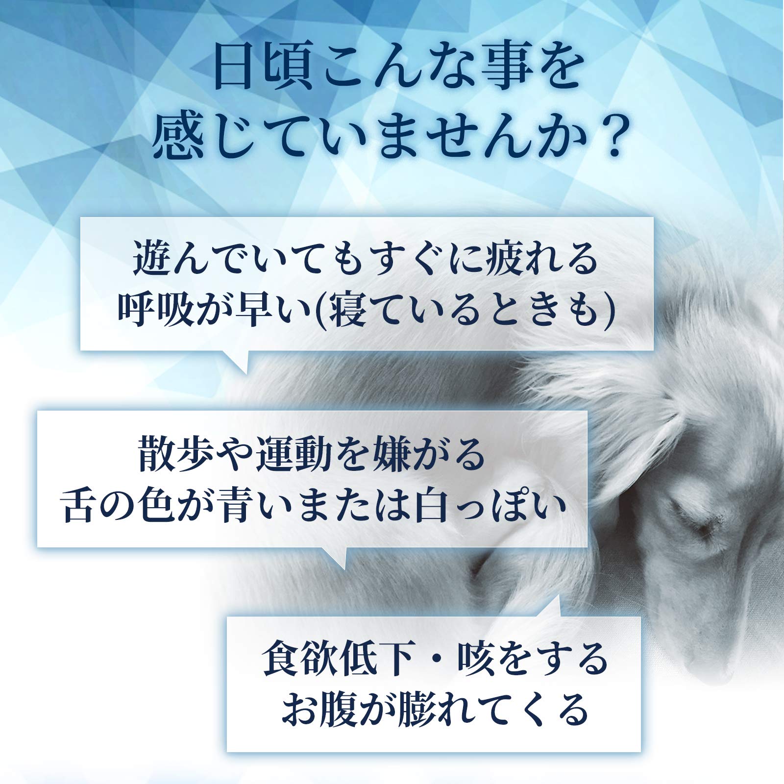 Amazon Co Jp ペットサプリメントのウィズペティ 呼吸が荒い