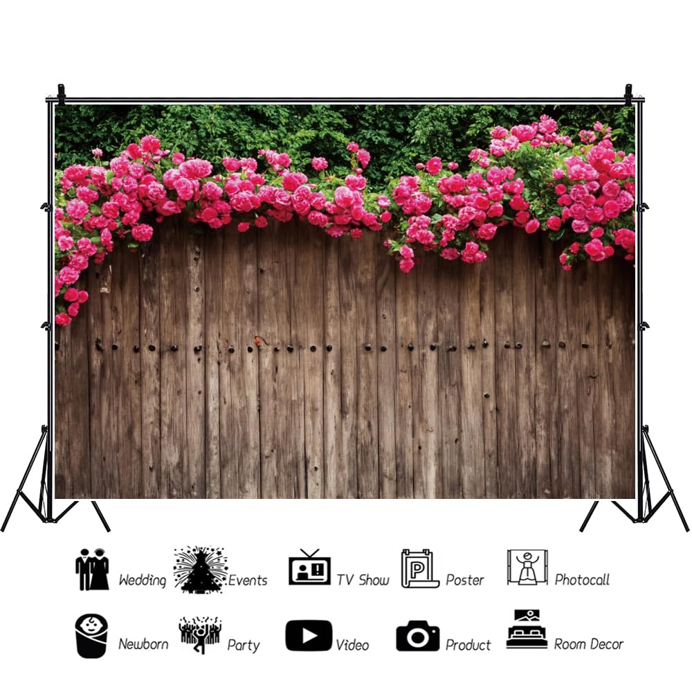 Gratis Afbeeldingen : bloemen, omlijsting, ontwerp, rode rozen, tekst  ruimte, uitnodiging, modern, huwelijk, kaart, wenskaart, leeg, versierd,  rood, goud, decoratief, hartelijk gefeliciteerd, ansichtkaart, romantisch,  Valentijnsdag, achtergrond, bloem ..., image size:1000x1000