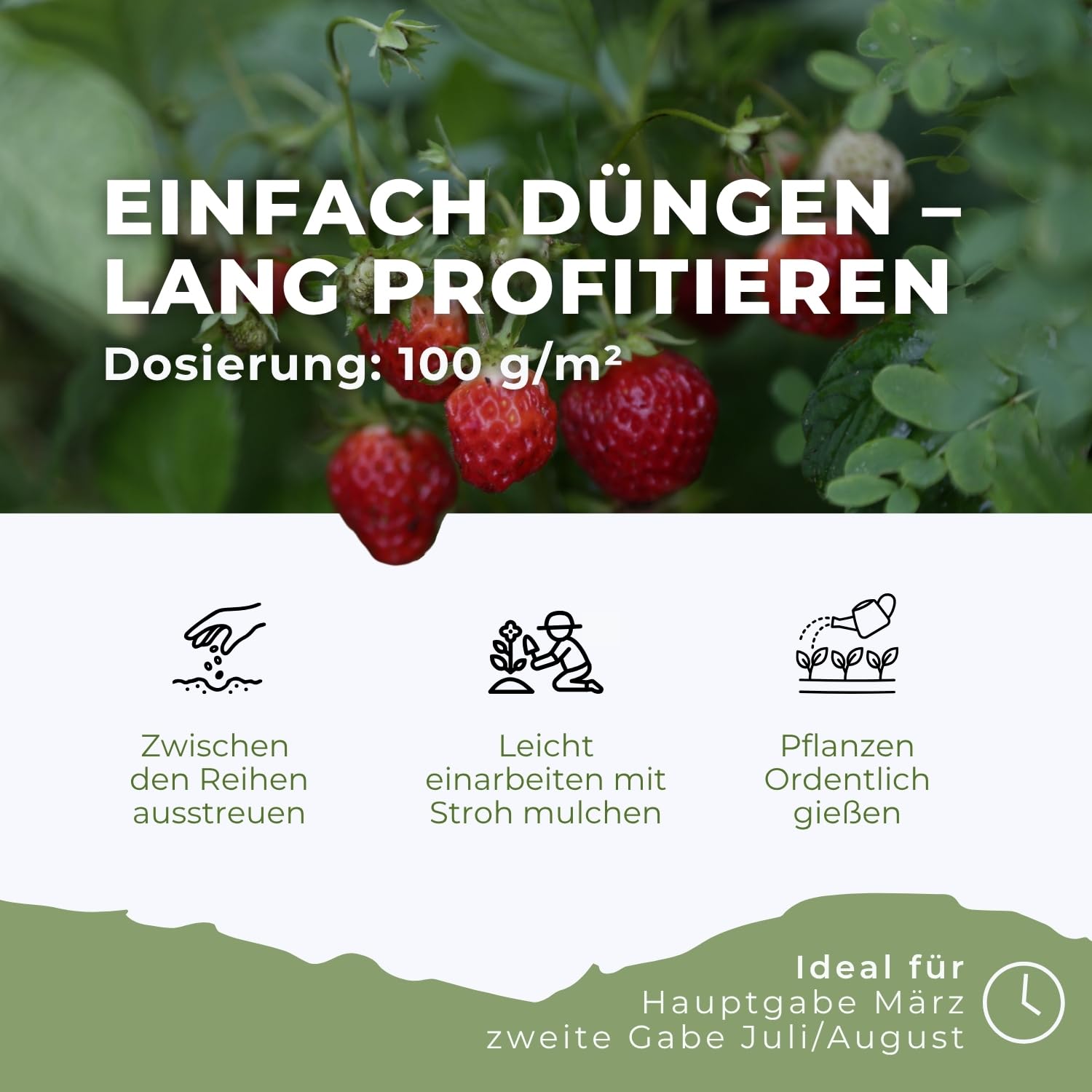 Flora Boost PRO Erdbeer Dünger Langzeitwirkung 5 kg I NPK 7-4-6 Granulat für Erdbeerpflanzen I Organisch-mineralischer Beerendünger für süße Früchte, hohe Erträge & gesundes Wachstum
